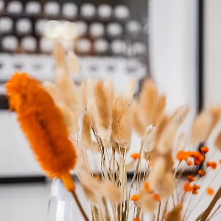 Appartamento Casa Del Fotografo, A Due Passi Dall'accademia Modena