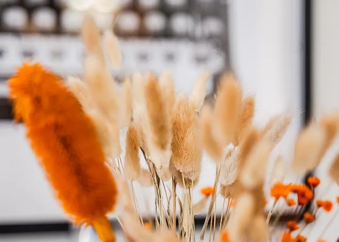 Apartment Casa Del Fotografo, A Due Passi Dall'accademia Modena